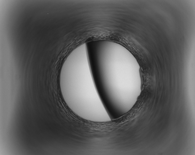 X0000098131153200804171053
