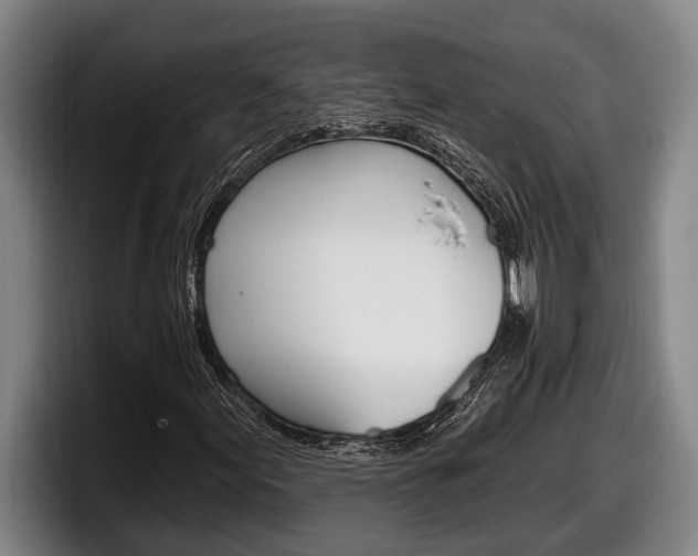 X0000098131155200804171053