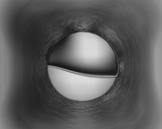 X0000098131156200804171053