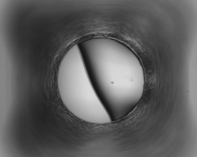 X0000098131159200804171053