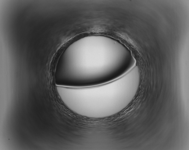 X0000098131160200804171053