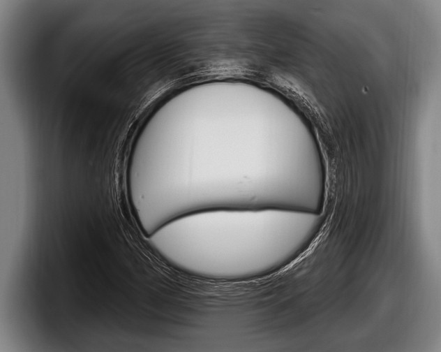 X0000098131162200804171053