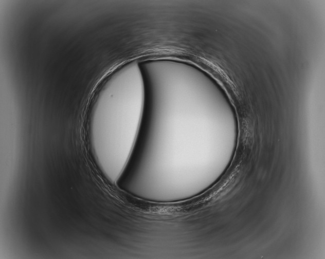 X0000098131163200804171053