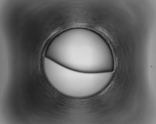 X0000098131165200804171053