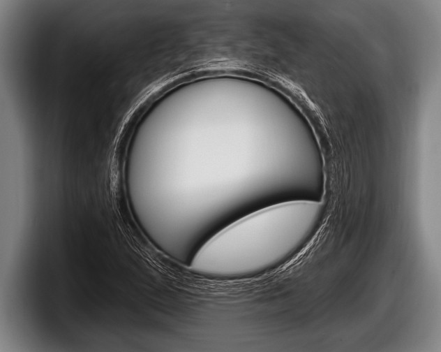 X0000098131167200804171053