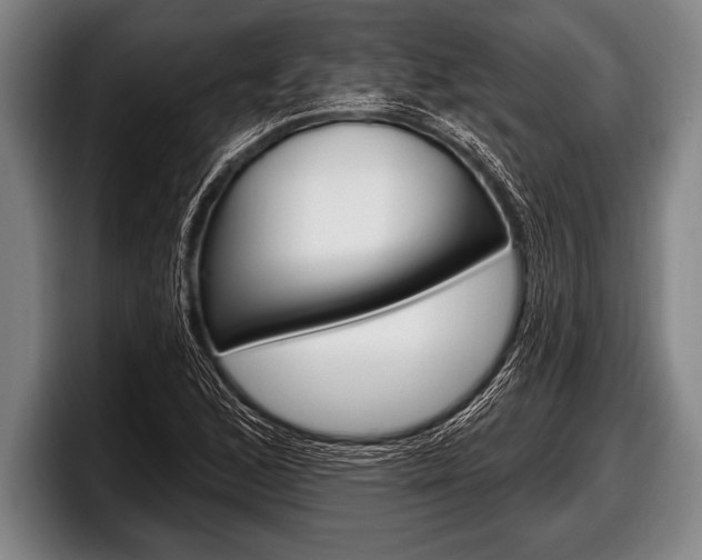 X0000098131168200804171053