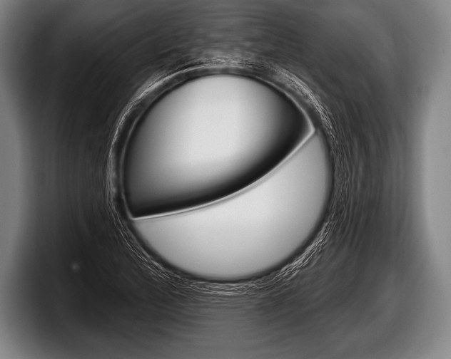 X0000098131172200804171053