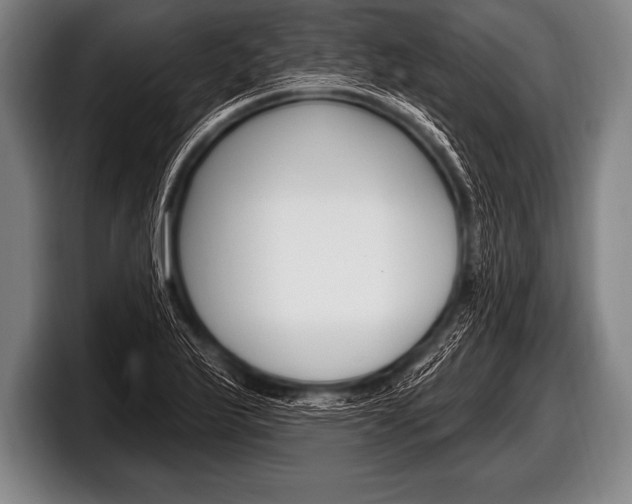 X0000098131175200804171053