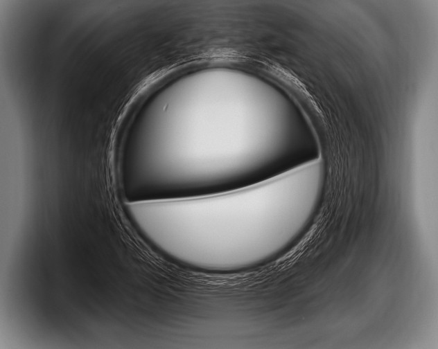 X0000098131176200804171053