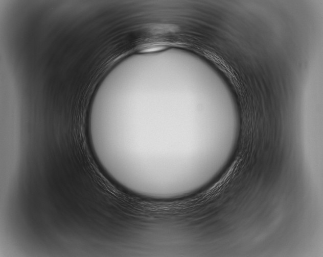 X0000098131177200804171053