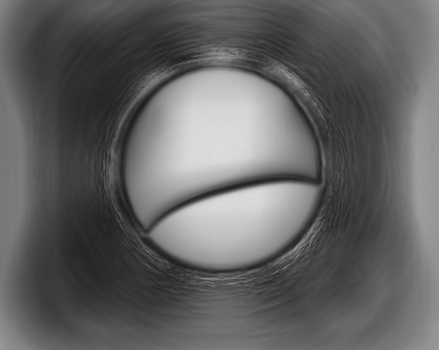 X0000098131178200804171053