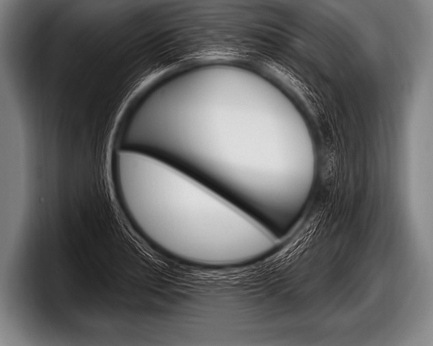 X0000098131179200804171053