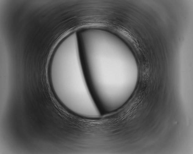 X0000098131181200804171053