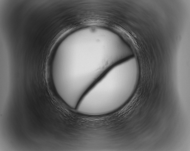 X0000098131182200804171053