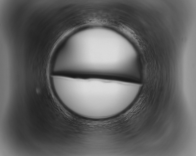 X0000098131183200804171053