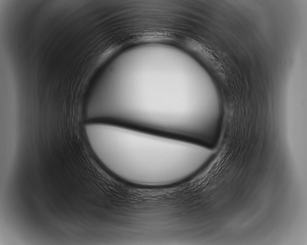 X0000098131185200804171053