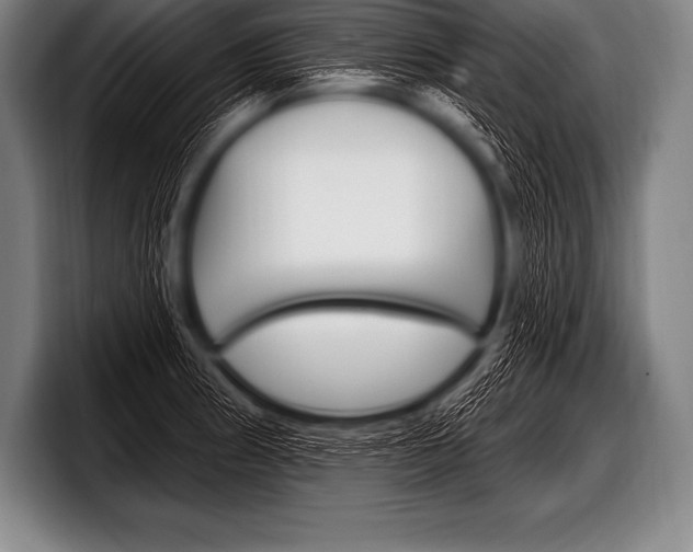 X0000098131186200804171053