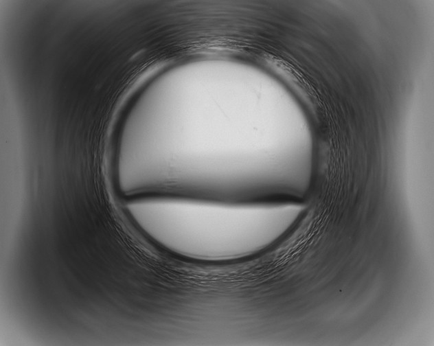 X0000098131187200804171053