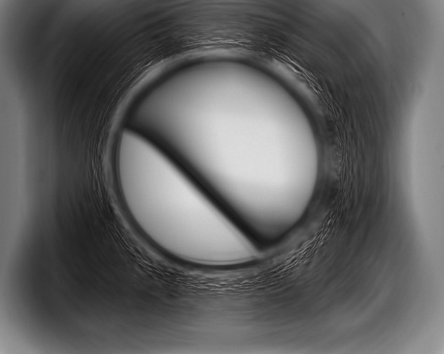 X0000098131189200804171053