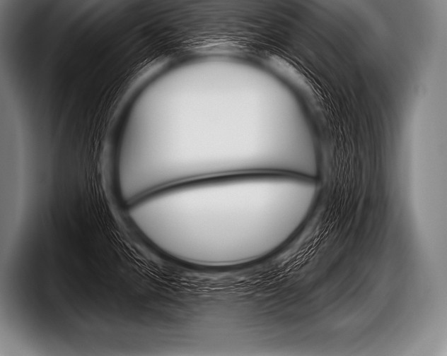 X0000098131190200804171053