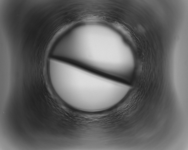 X0000098131191200804171053