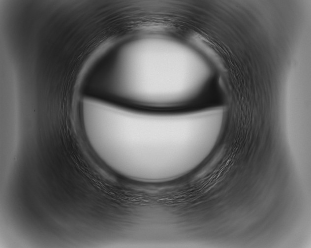 X0000098131196200804171053