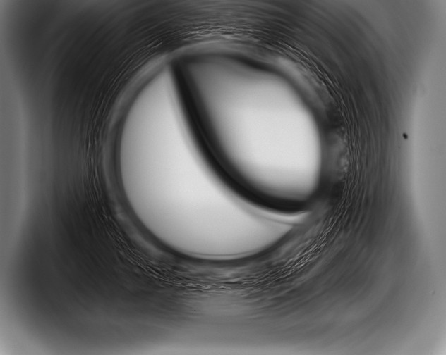 X0000098131197200804171053