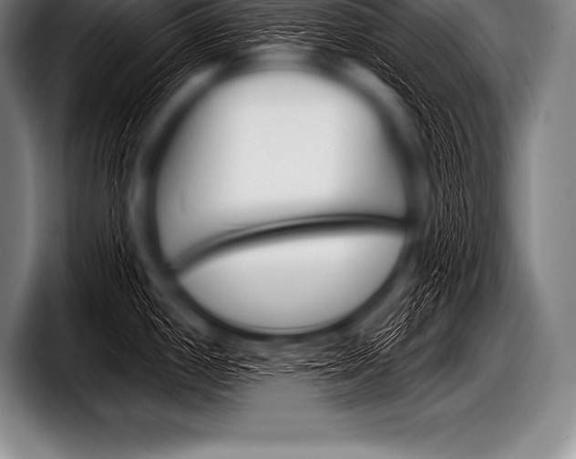 X0000098131198200804171052