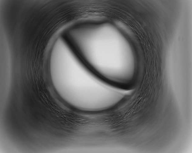X0000098131200200804171052