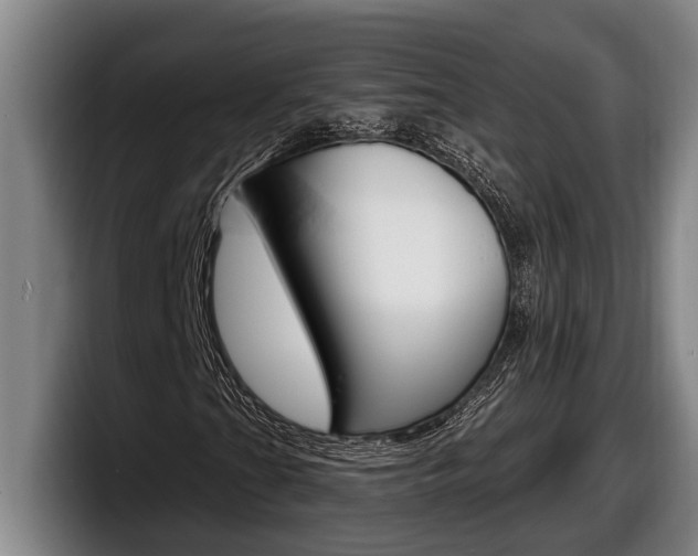 X0000098131201200804171052