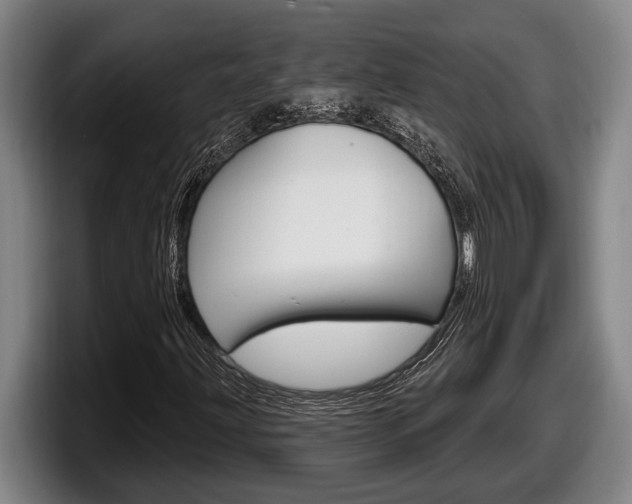 X0000098131203200804171052
