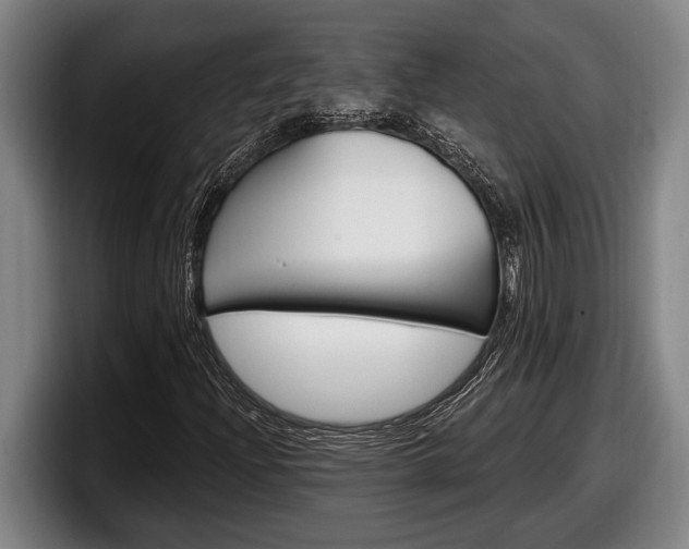 X0000098131204200804171052