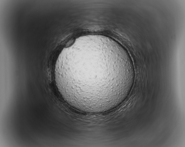 X0000098131205200804171052