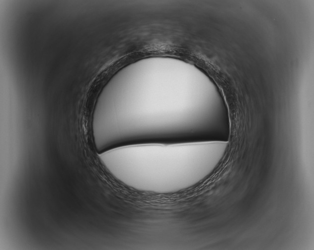 X0000098131206200804171052