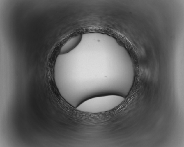 X0000098131207200804171052