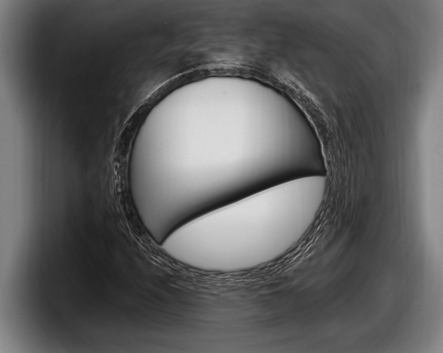 X0000098131208200804171052