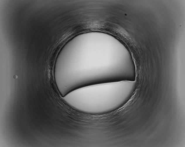 X0000098131209200804171052