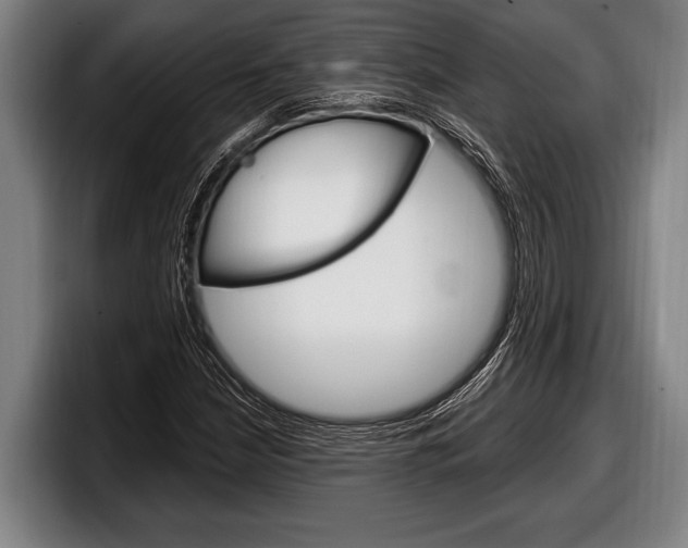 X0000098131210200804171052