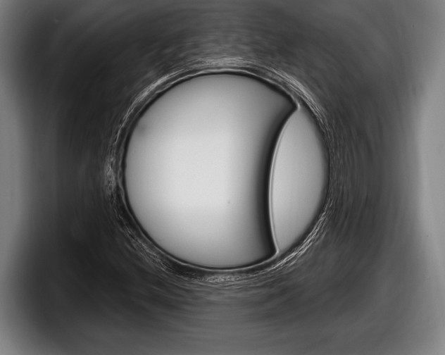 X0000098131212200804171052
