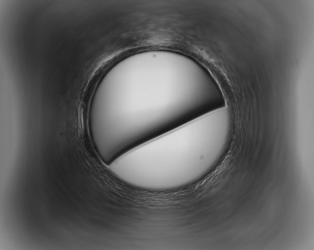 X0000098131214200804171052