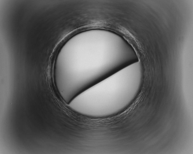 X0000098131216200804171052