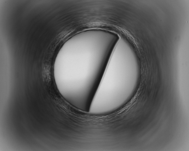 X0000098131217200804171052