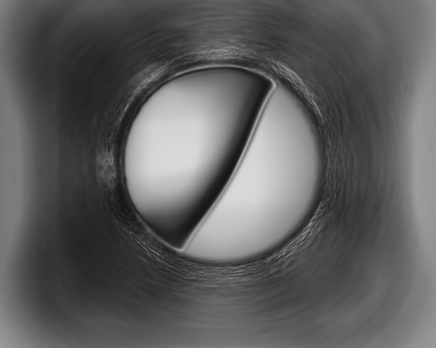 X0000098131218200804171052
