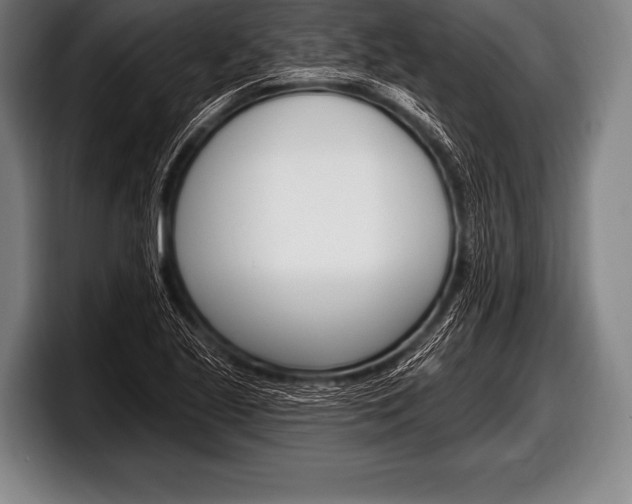 X0000098131221200804171052