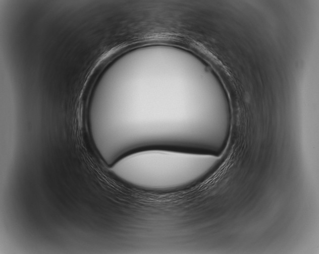 X0000098131222200804171052