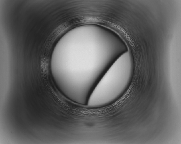 X0000098131225200804171052