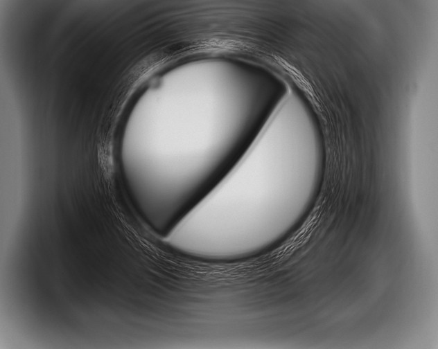 X0000098131226200804171052