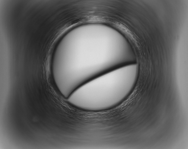 X0000098131228200804171052