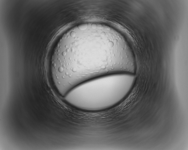 X0000098131231200804171052