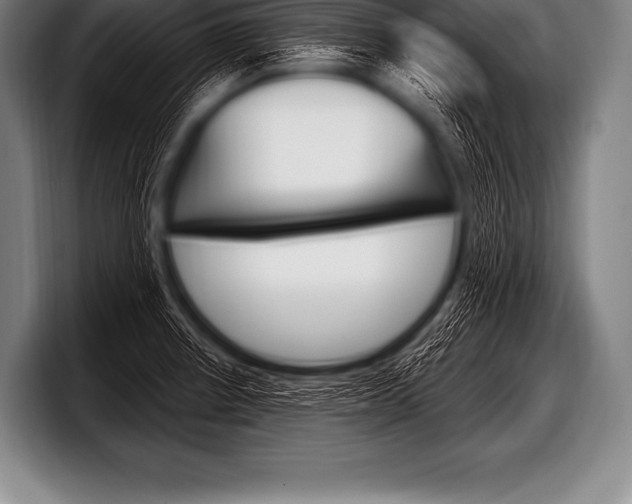 X0000098131234200804171052